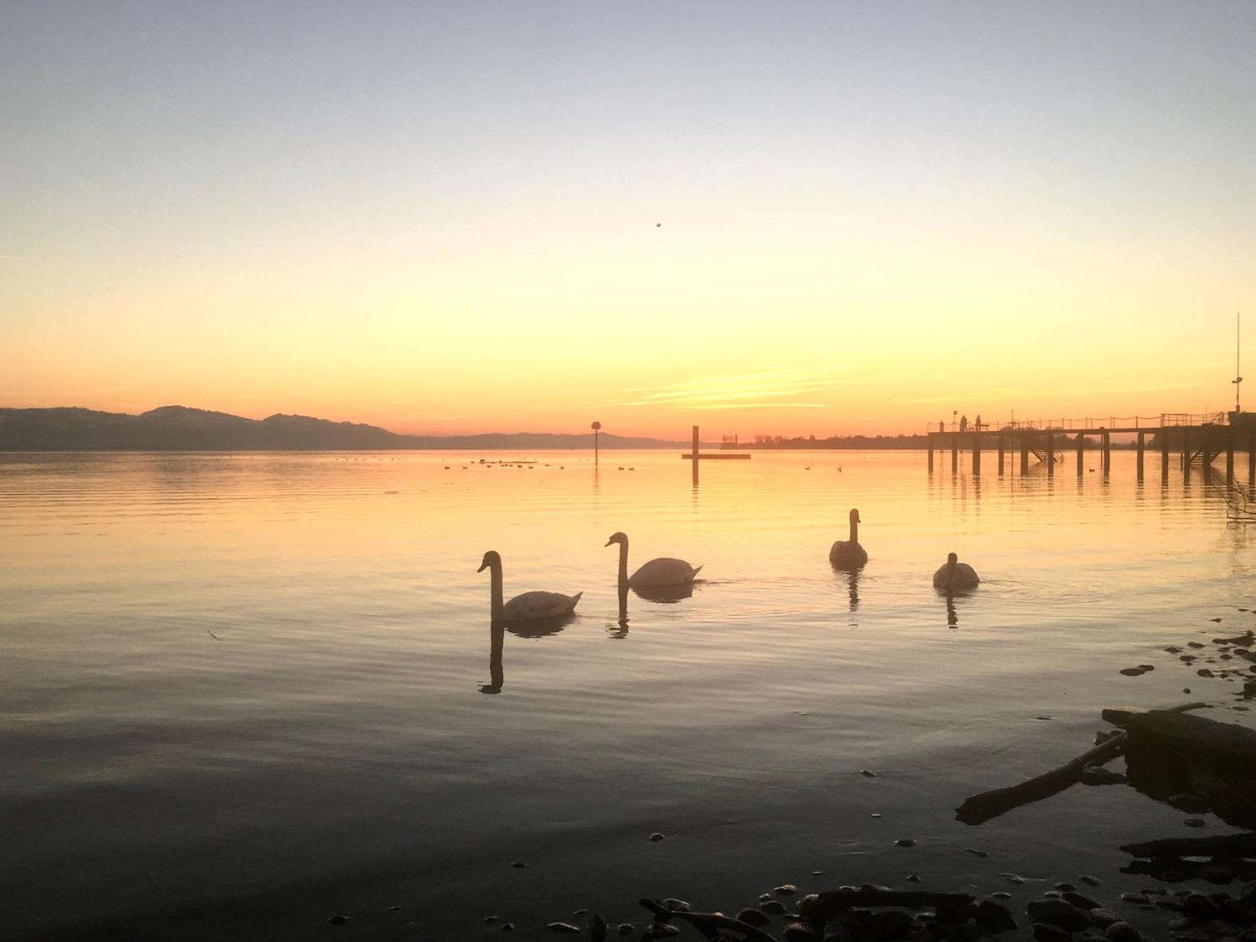 Ferienwohnung Riva - Wohlfuehloase In Ruhiger Lage Lindau  Bagian luar foto