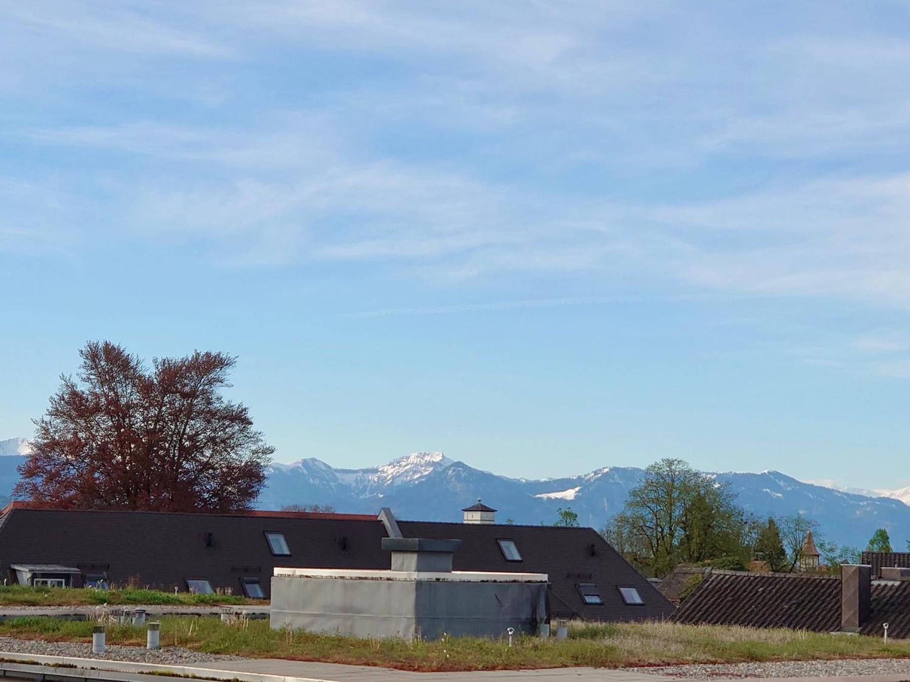Ferienwohnung Riva - Wohlfuehloase In Ruhiger Lage Lindau  Bagian luar foto